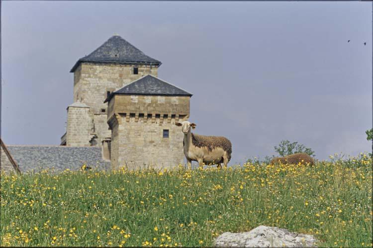 Bernard Galéron, Vue générale, Ancienne grange monastique dite château de Galinières, Pierrefiche (Aveyron), s.d.