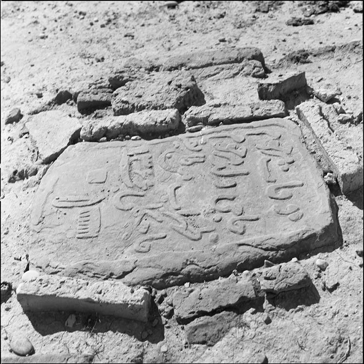 Eliane Janet-le-Caisne et les fouilles archéologiques du Site de Suse (Hiver 1969-1970)