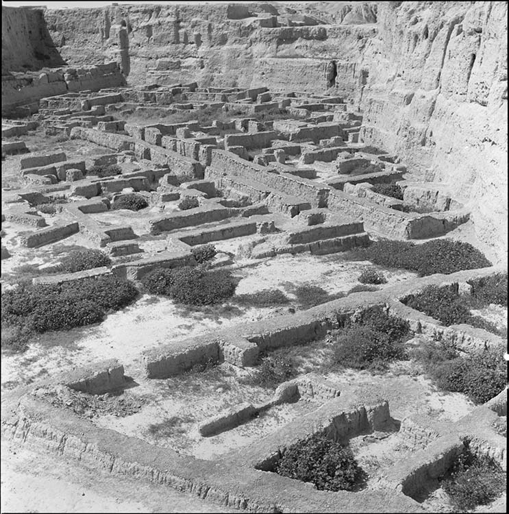 Eliane Janet-le-Caisne et les fouilles archéologiques du Site de Suse (Hiver 1969-1970)