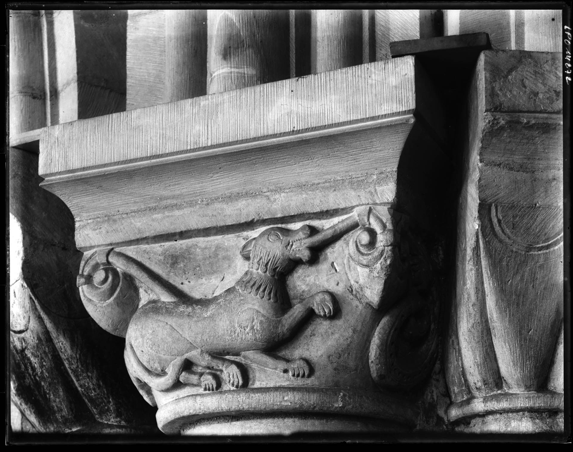 Eugène Lefèvre-Pontalis (1862-1923), Chapiteau : lion tenant une corde dans sa gueule, Eglise de Biéville (Calvados)