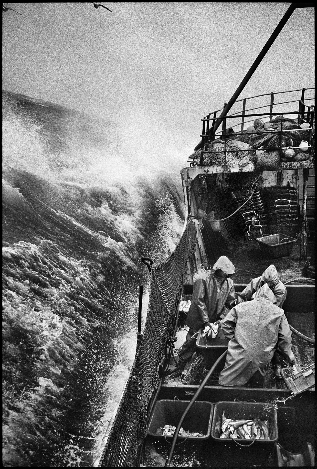 Jean Gaumy, À bord du chalutier espagnol Rowanlea, Atlantique Nord, 1998 © Jean Gaumy / Magnum Photos