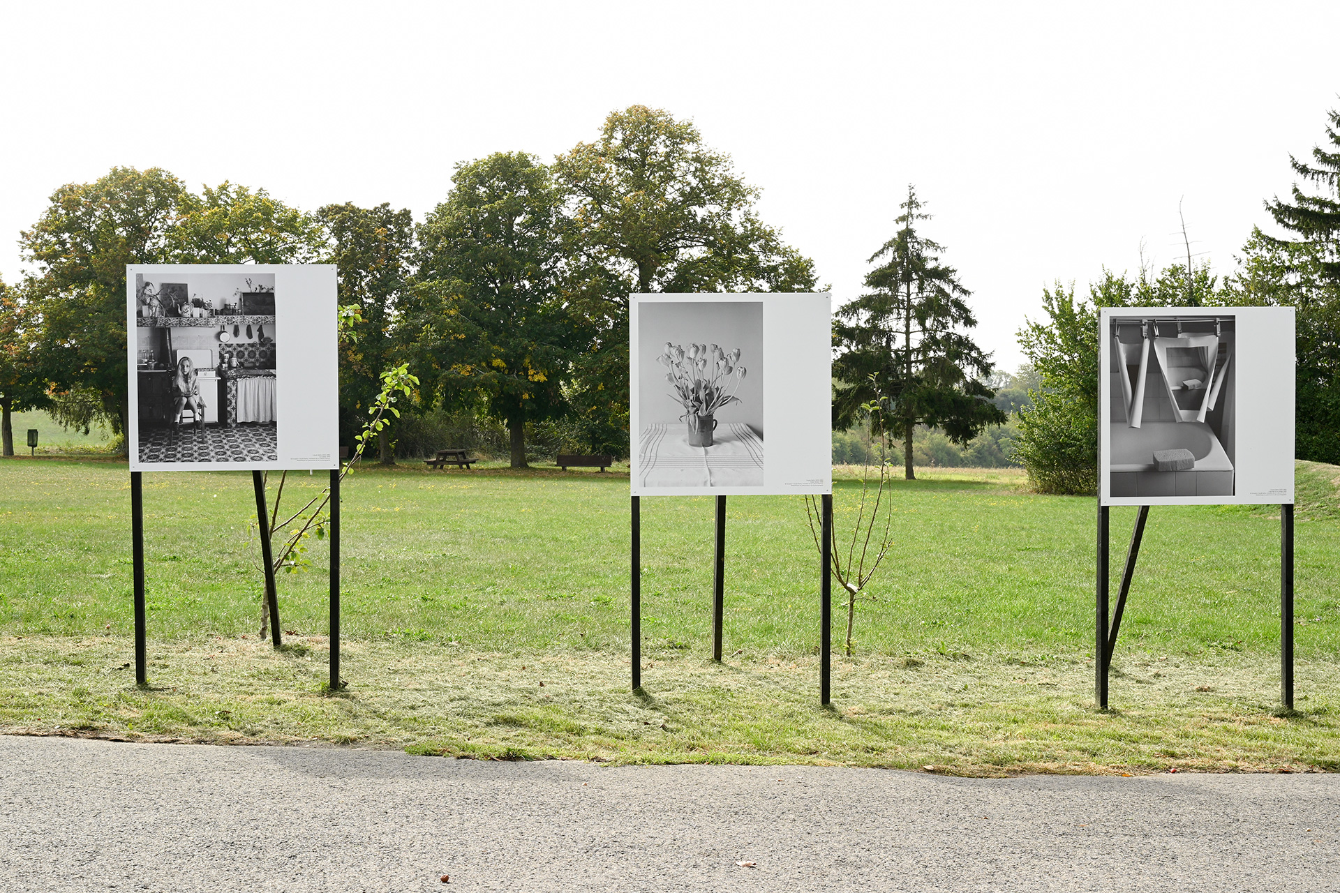 Panneaux de l'exposition Claude Batho à Lamécourt
