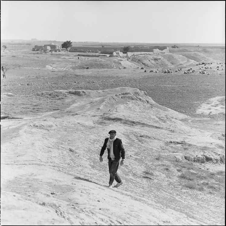 Janet-Le Caisne, Éliane (1906-2000), Vue générale du site de fouilles ; archéologue marchant