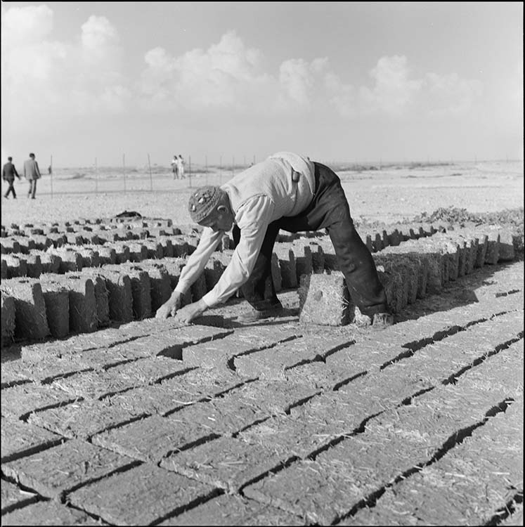 Janet-Le Caisne, Éliane (1906-2000), Apadana : fabrication d’un sol en briques crues