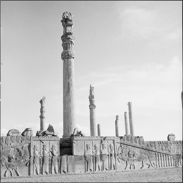 Janet-Le Caisne, Éliane (1906-2000), Apadana : escalier est, triangle et panneau central ; colonnes ioniennes
