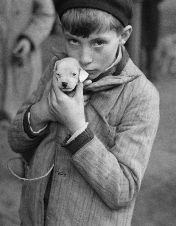 André Kertész, Au marché aux chiens, Paris, halles des abattoirs de Vaugirard, rue Brancion, hiver 1934