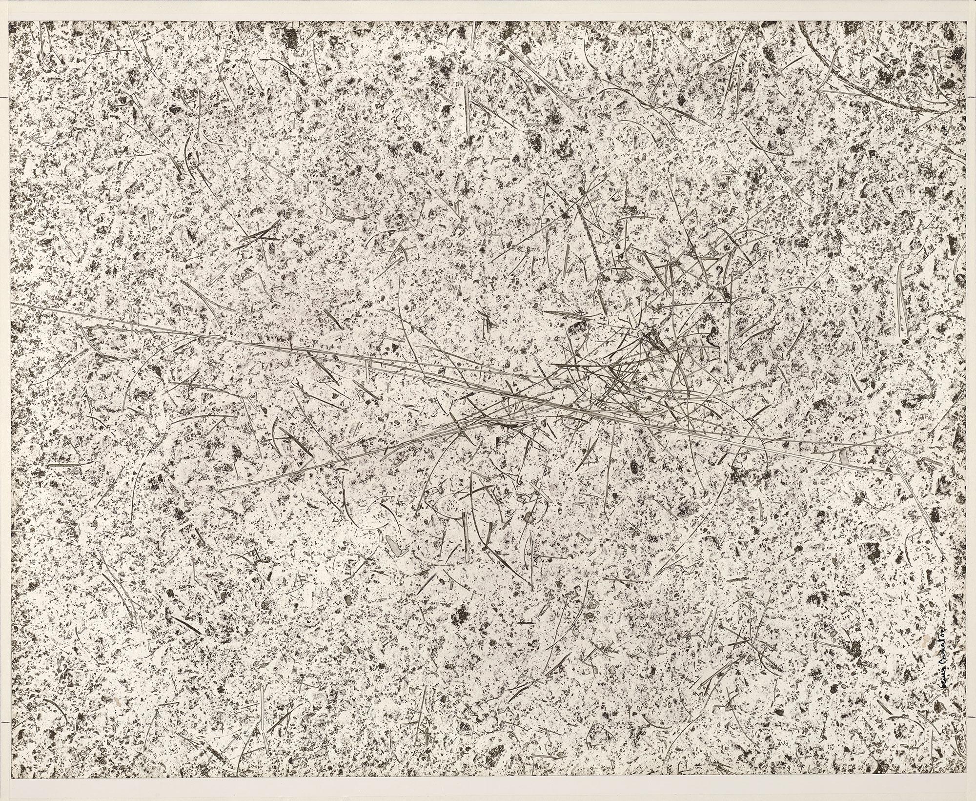 Denis Brihat, Herbes dans du goudron, 2000