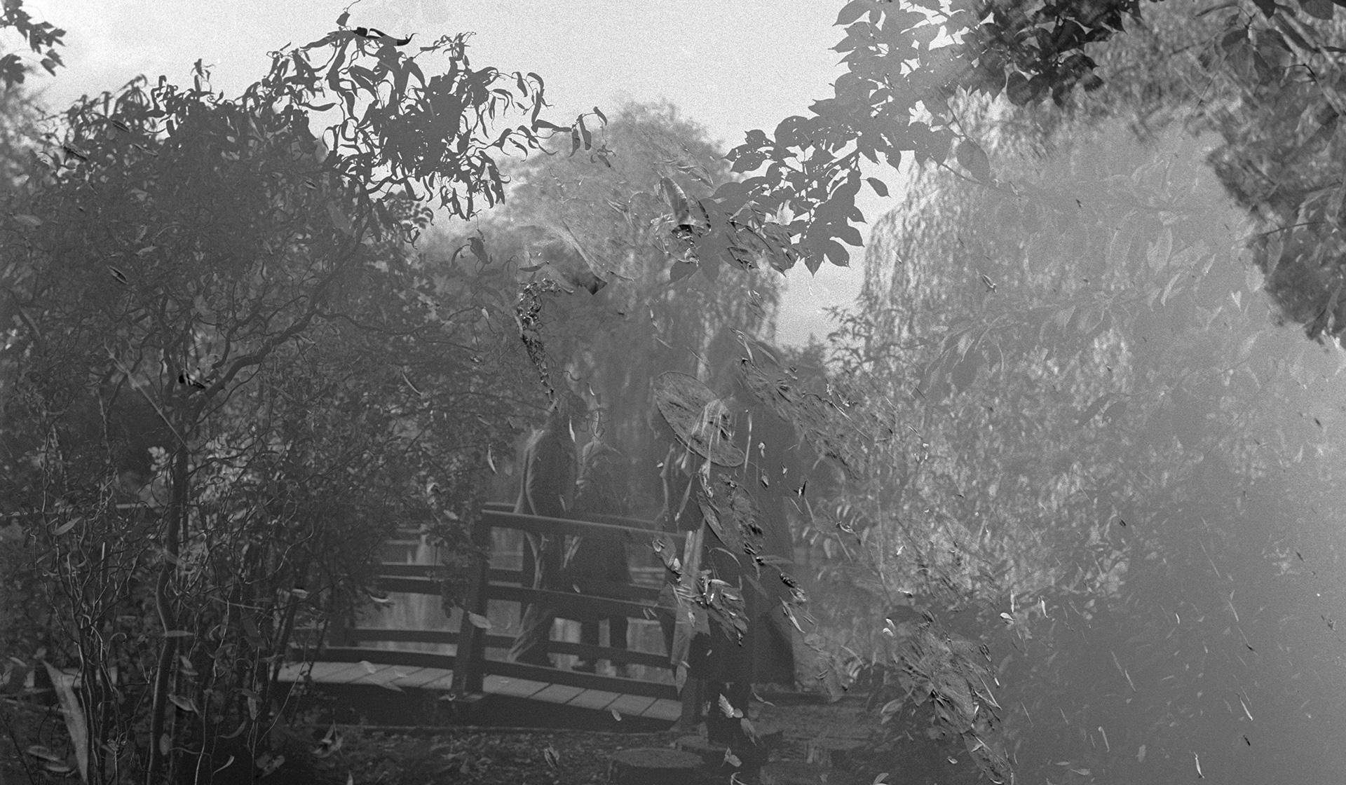 Claude Batho, Le pont japonais, Giverny, 1980