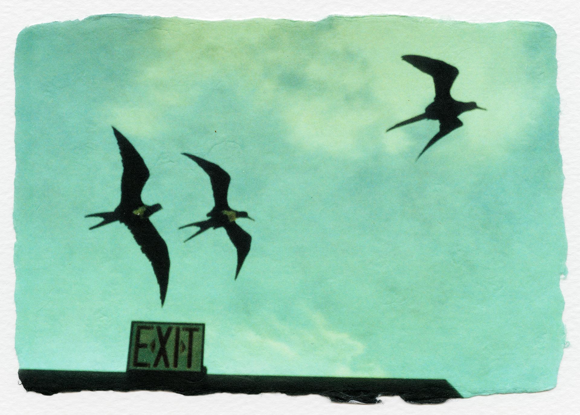 Dolorès Marat, Exit, 1999, New York (États-Unis)