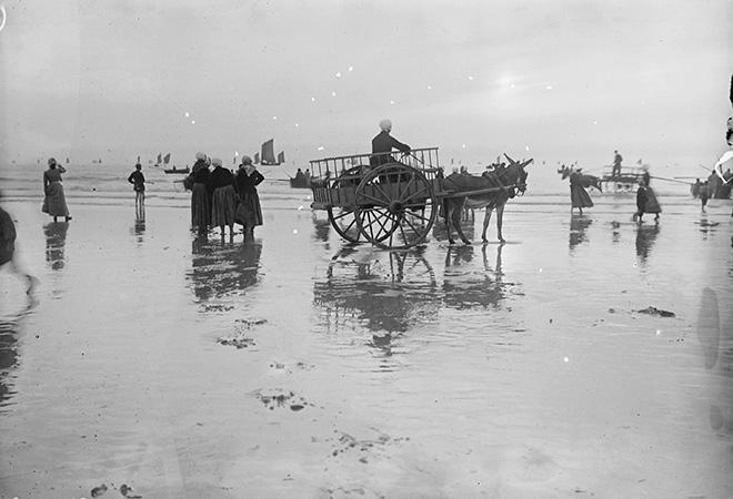 Photo en noir et blanc. À marée basse, attelages et femmes, au loin des voiliers.  à Berck en 