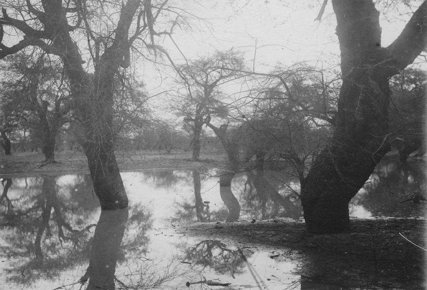 Frédéric Gadmer, A 1 heure un quart au Nord de Kabé. Reste des inondations, 1918.03.08