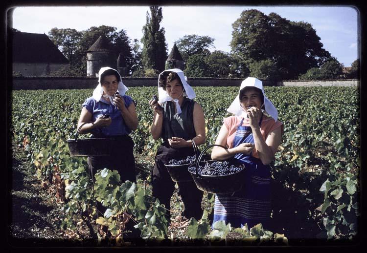 Lucien Viguier, Vendanges : trois femmes portant des coiffes traditionnelles posant avec leur panier de raisin, 1960-1975
