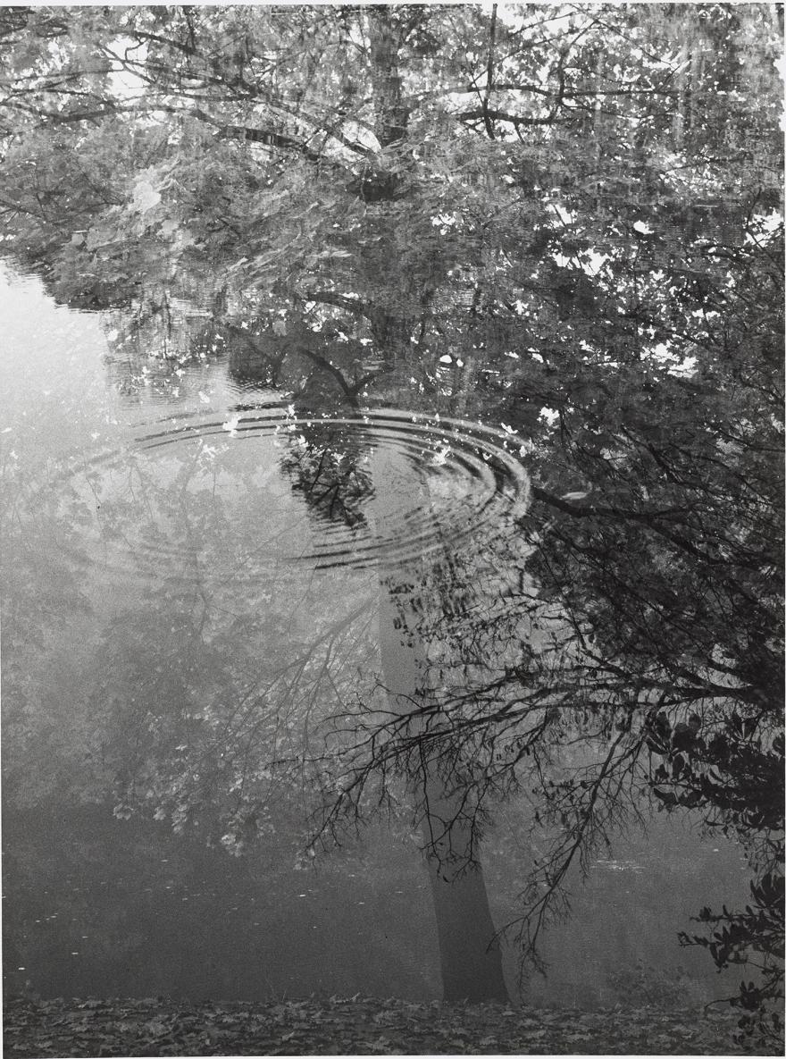 Claude Batho, Les ronds dans l'eau.