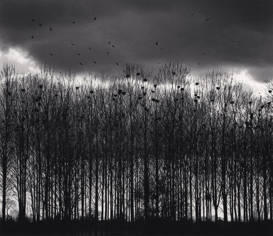 Micheal Kenna, Nesting Colony, Bourgogne, France. 1997 ; [Colonie de nids]. 