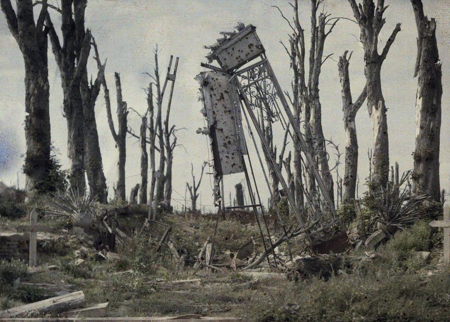 Allée d'arbre déchiqueté marquant l'entrée du château de Chaulnes lui même détruit.