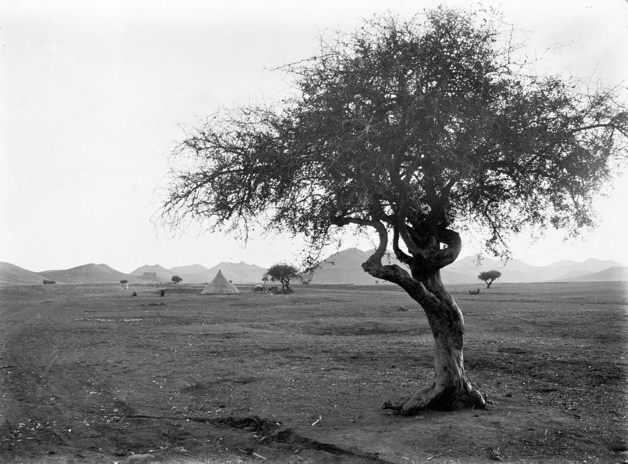Pierre-marie Dieulefils, Paysage des environs de Marrakech, Marrakech (Maroc), 1914-1915