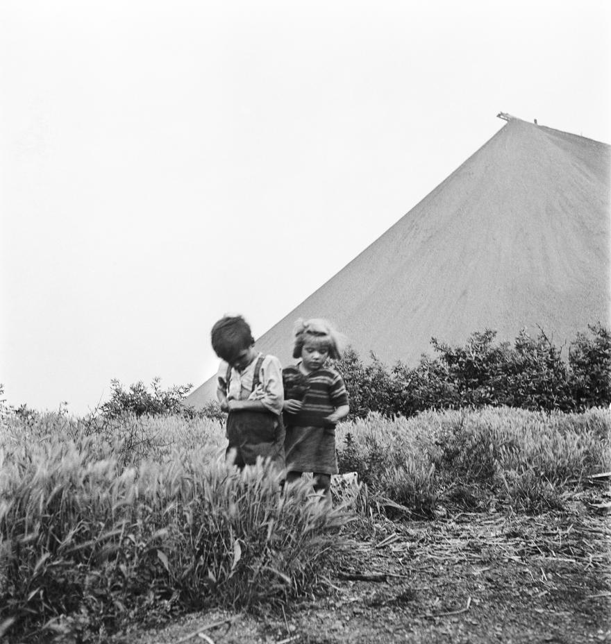 Émile Muller, Divion (Pas-de-Calais), 1954 