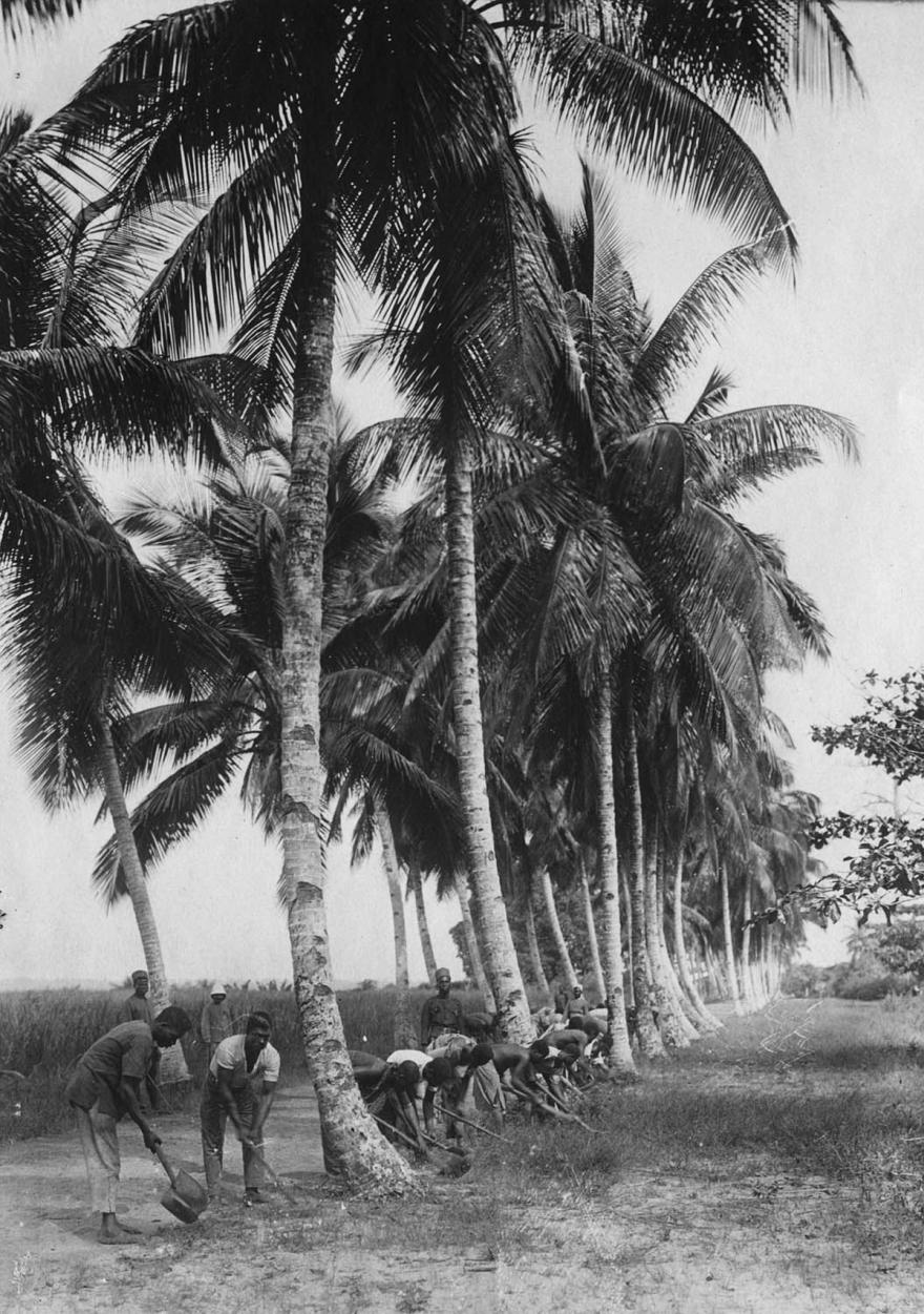 Media Name: 62t095999_1200.jpg