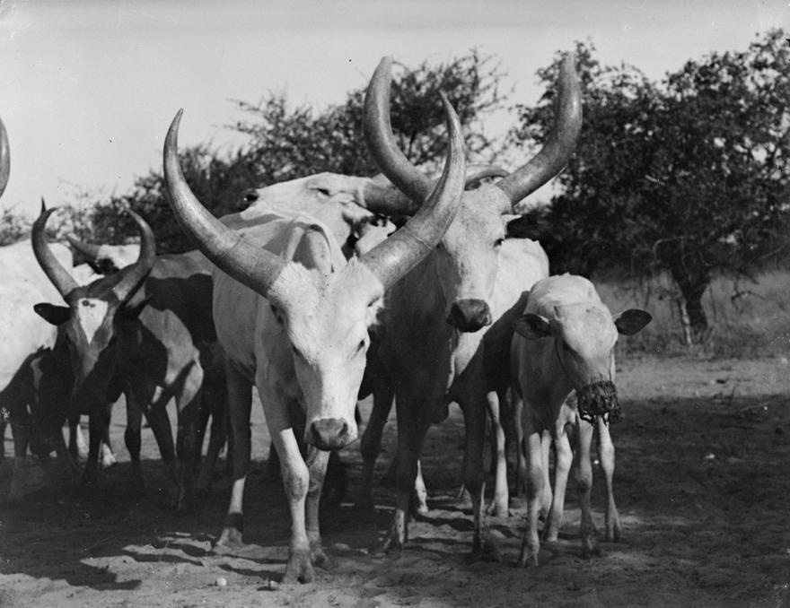 Media Name: 69l00070_1200.jpg