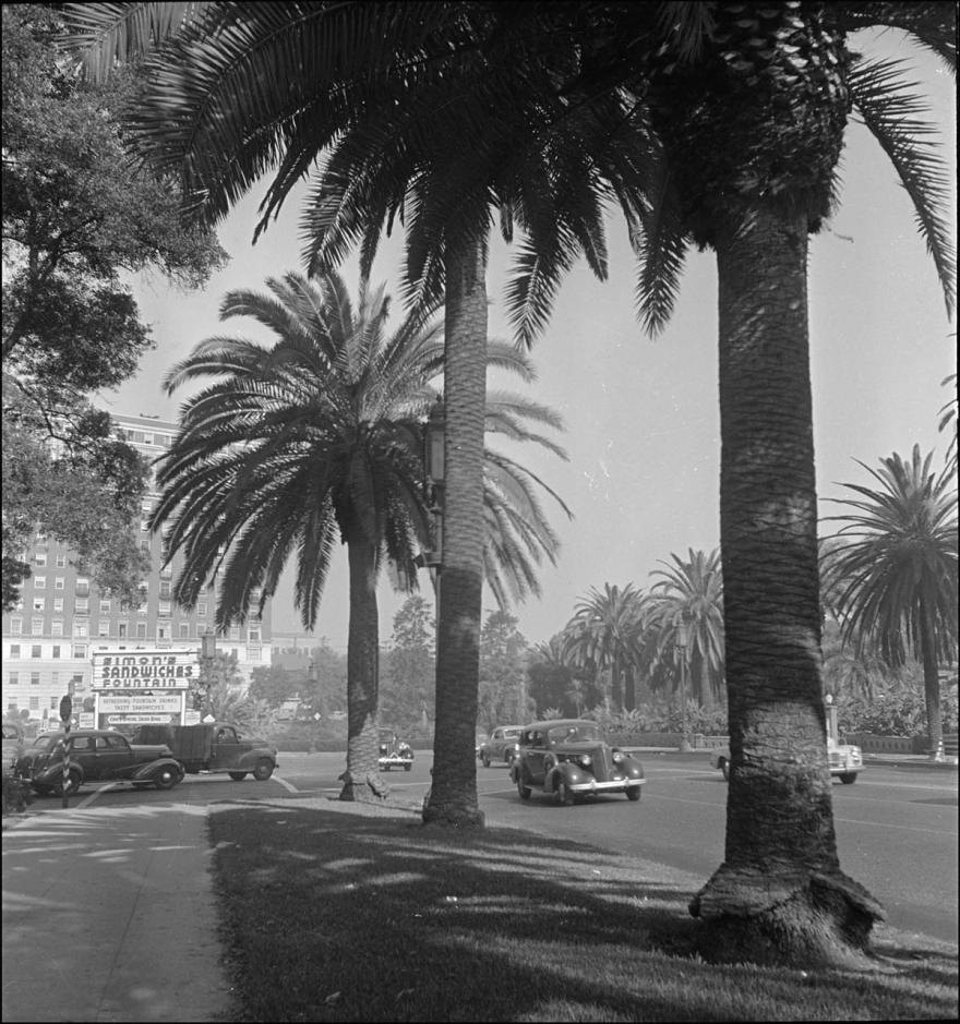 Media Name: 70l03932_1200.jpg