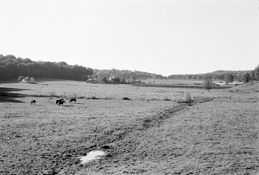 Media Name: 78l02800z18_1200.jpg