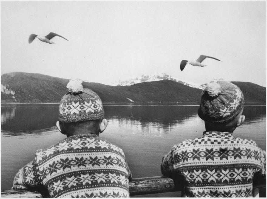 Denise Colomb, Jumeaux aux mouettes, Norvège, 1955. © Donation Denise Colomb, Ministère de la Culture (France), Médiathèque du patrimoine et de la photographie, diffusion GrandPalaisRmn Photo
