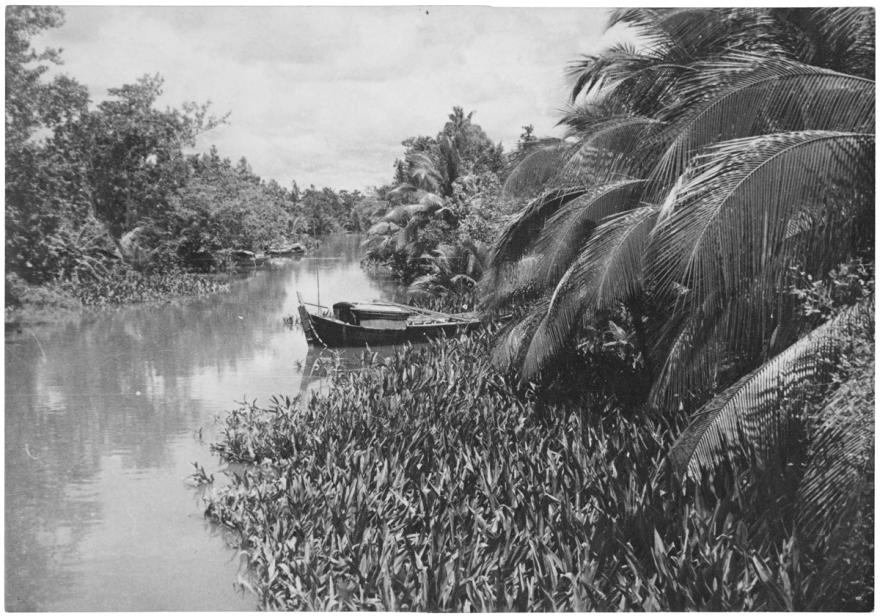 Denise Colomb, Arroyo, Vietnam, 1936. © Donation Denise Colomb, Ministère de la Culture (France), Médiathèque du patrimoine et de la photographie, diffusion GrandPalaisRmn Photo