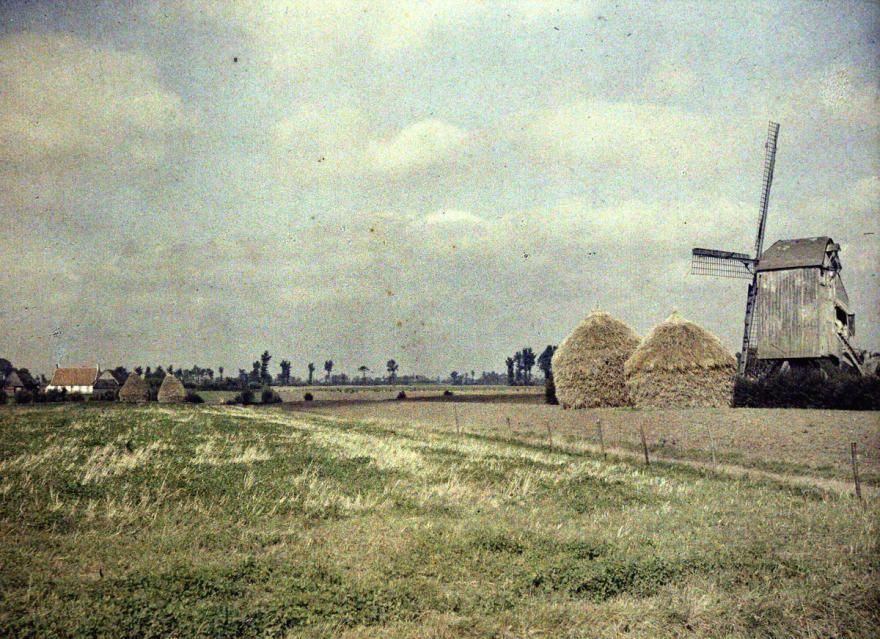 Media Name: ca000681_1200.jpg