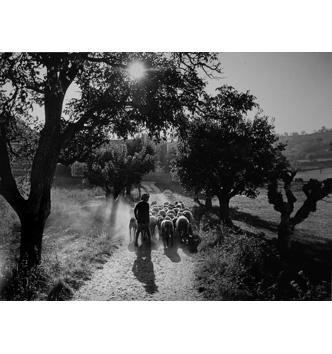 Media Name: dscn3531.jpg