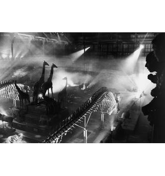 Media Name: emoc_0056117.jpg