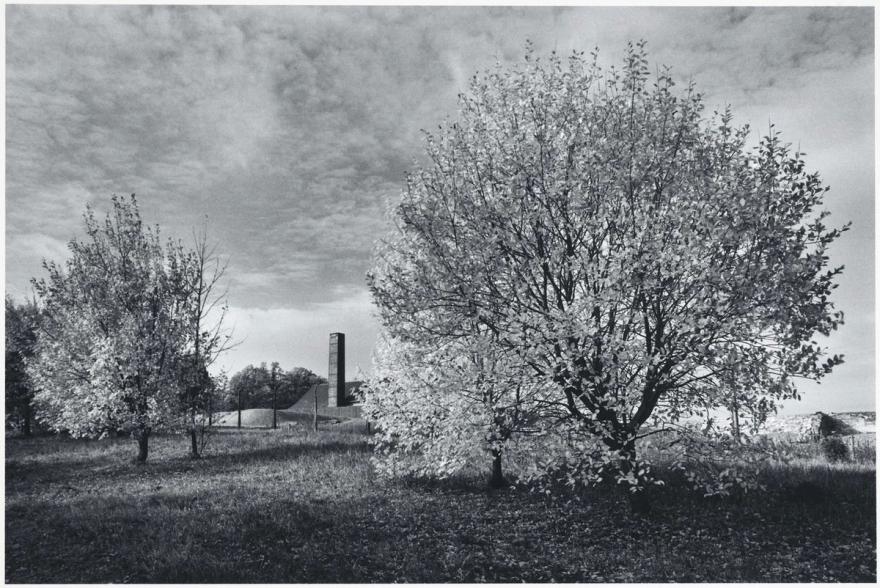 Media Name: knn04t178_1200.jpg