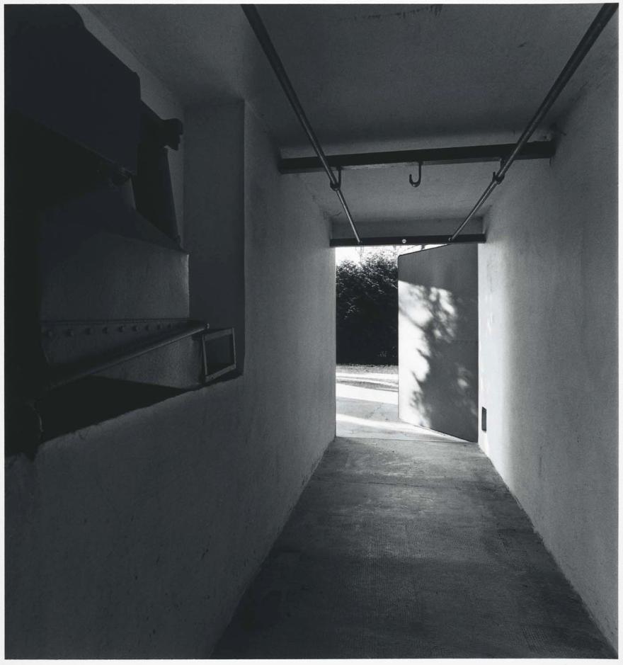 Media Name: knn04t195_1200.jpg