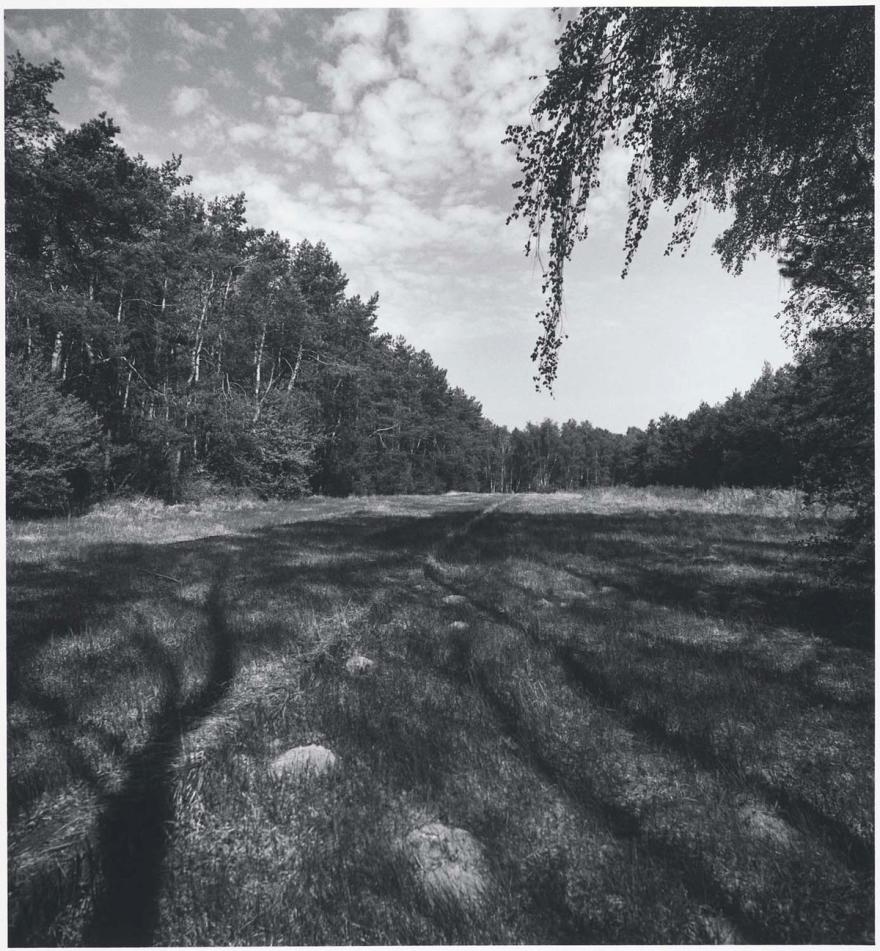 Media Name: knn04t200_1200.jpg