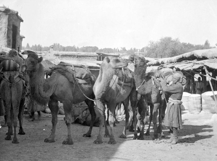 Media Name: ndr06978p_1200.jpg