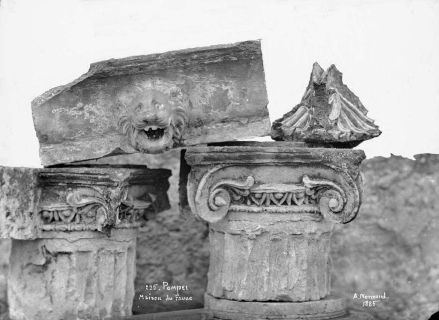 Media Name: nrm01095_1200.jpg