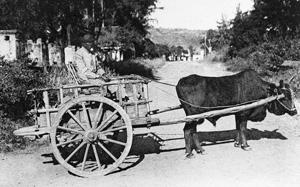 Media Name: tcf00088_1200.jpg