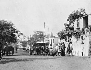 Media Name: tcf00203_300.jpg