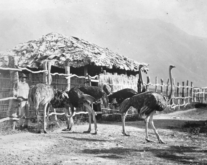 Media Name: tcf00211_1200.jpg