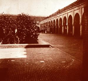 Media Name: tcf00316_1200.jpg