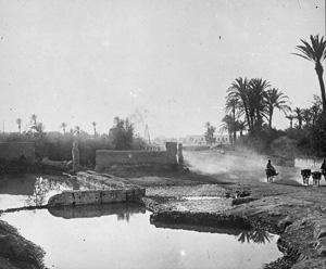 Media Name: tcf00327_300.jpg