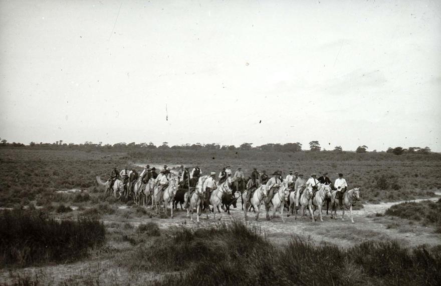 Media Name: tcf00363_1200.jpg