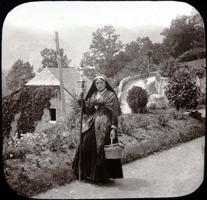 Media Name: tcf00394_300.jpg