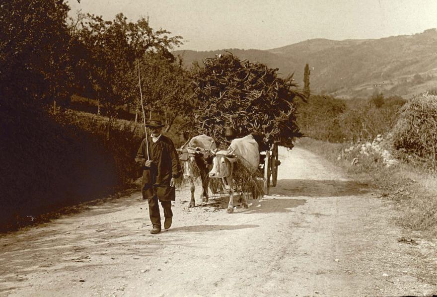 Media Name: tcf00417_1200.jpg