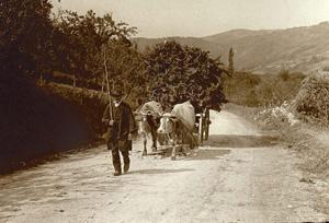 Media Name: tcf00417_300.jpg