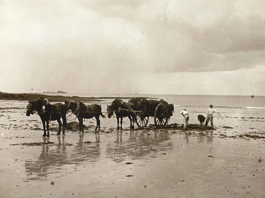 Media Name: tcf00432_1200.jpg