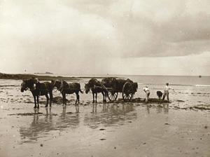 Media Name: tcf00432_300.jpg