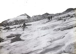 Media Name: tcf00546_300.jpg