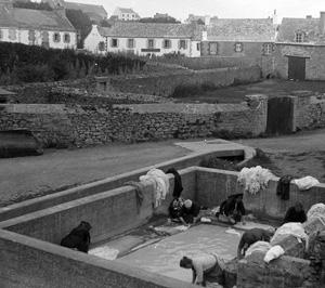 Media Name: tcf04939_300.jpg