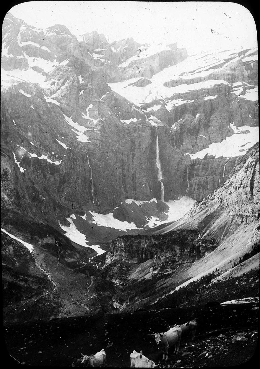 Media Name: tcf11814_1200.jpg