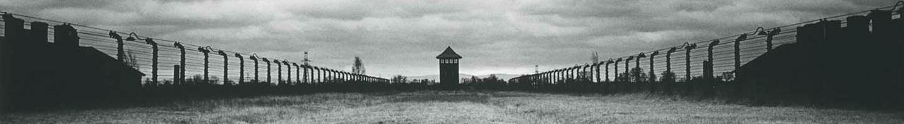 Media Name: knn04t143.jpg